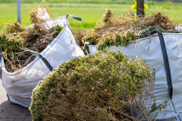 Best Full-Service Junk Removal  in Corning, CA